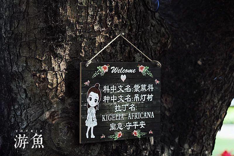 重组反噬业绩 动力新科陷亏损泥潭